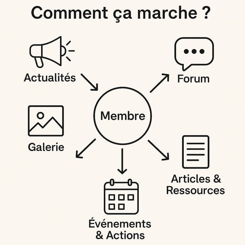 Comment se servir du site Allez viens Théo