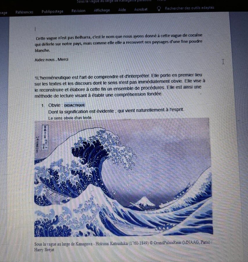 Photo vague Belharra.jpg