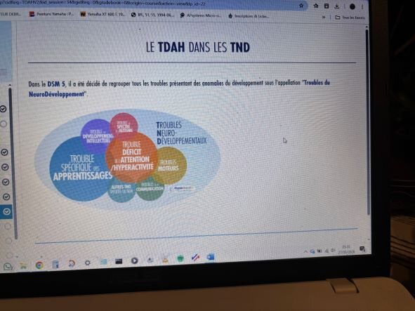 tdah graphique DSM5 réduite.jpg